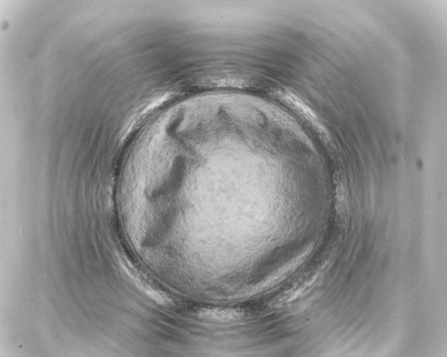 X0000087710537200705251801