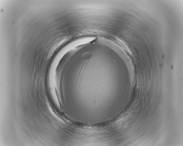 X0000087710538200705251801