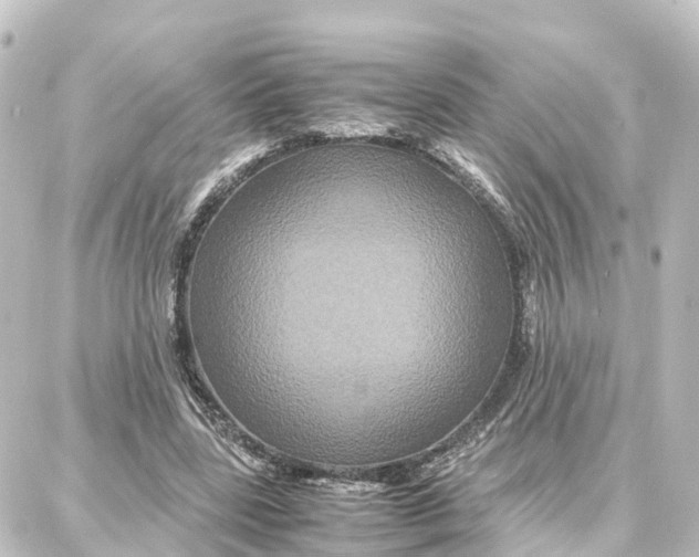 X0000087710539200705251801