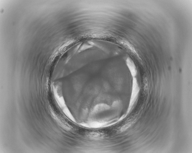 X0000087710542200705251801