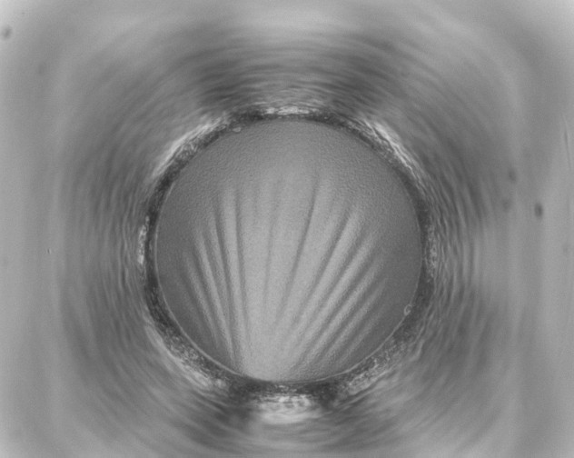 X0000087710543200705251801