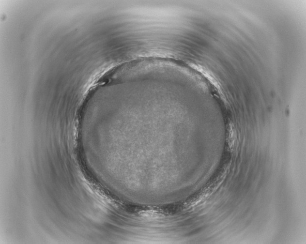 X0000087710544200705251801