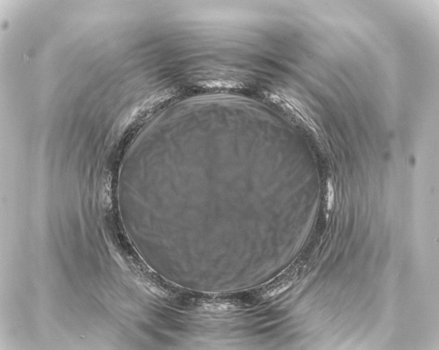 X0000087710547200705251801