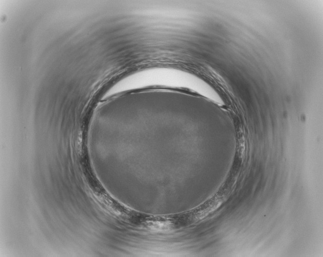 X0000087710552200705251801
