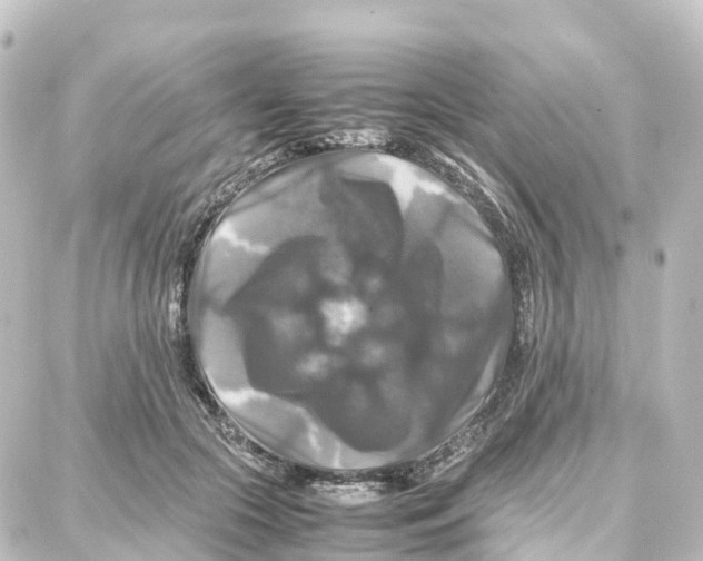 X0000087710553200705251801