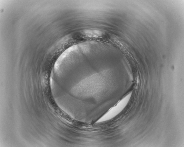 X0000087710559200705251801