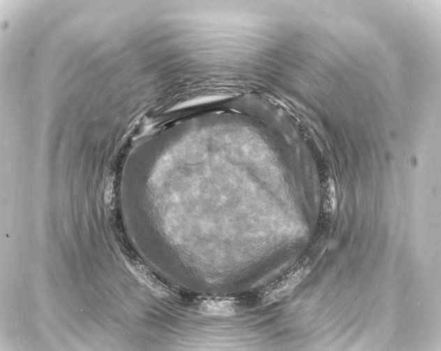 X0000087710560200705251801