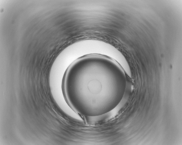 X0000087710562200705251801