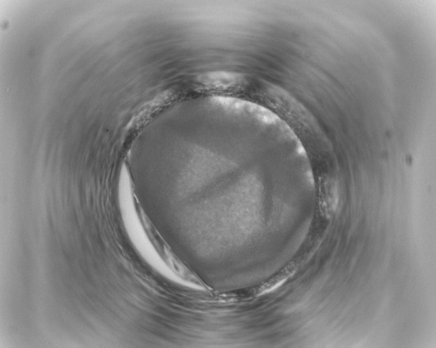 X0000087710563200705251801