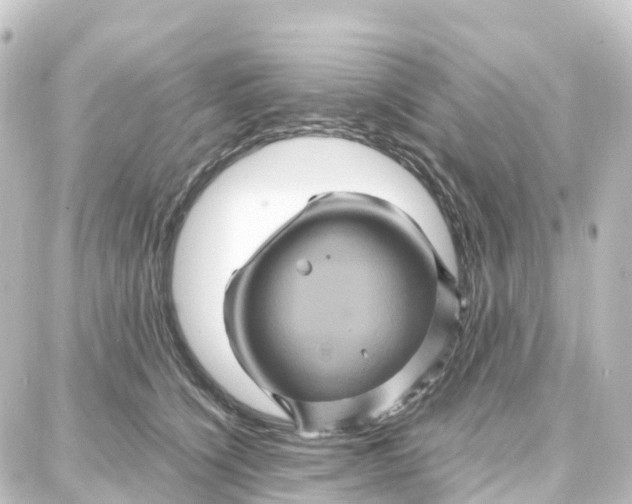 X0000087710564200705251801