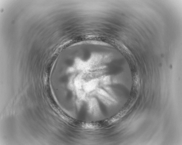 X0000087710565200705251801