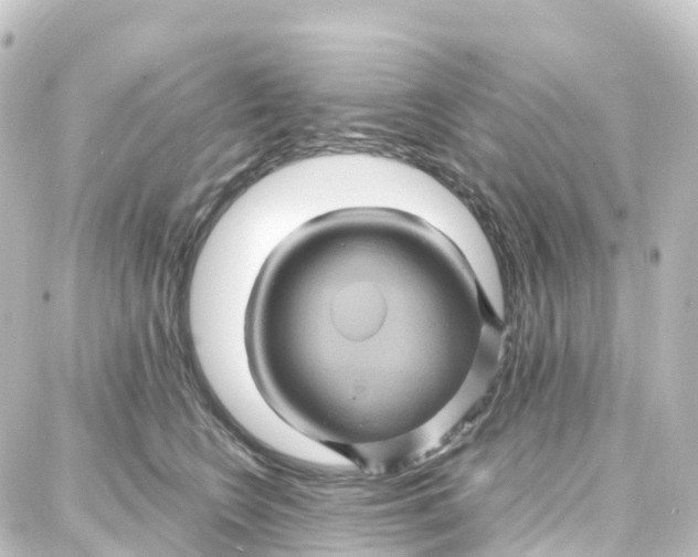 X0000087710566200705251801