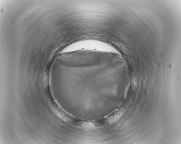 X0000087710572200705251801