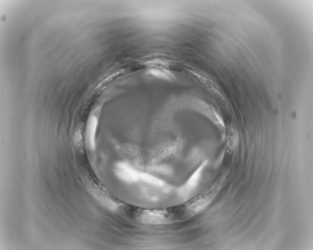 X0000087710573200705251801