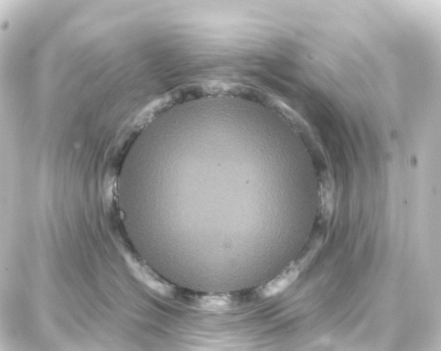 X0000087710574200705251801