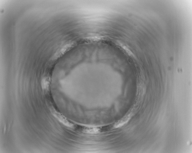 X0000087710576200705251801