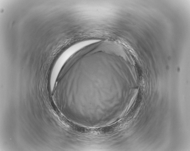 X0000087710593200705251800