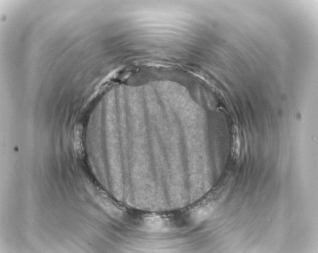 X0000087710616200705251800