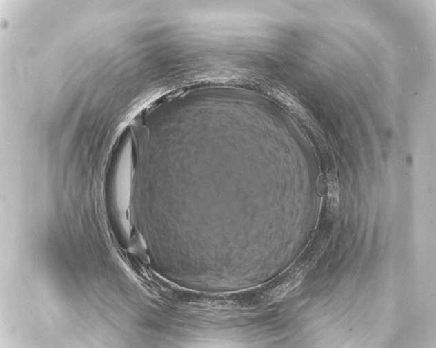 X0000087710626200705251759