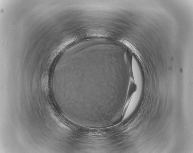 X0000087710627200705251759