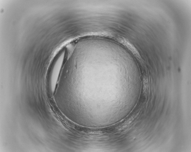 X0000087710628200705251759