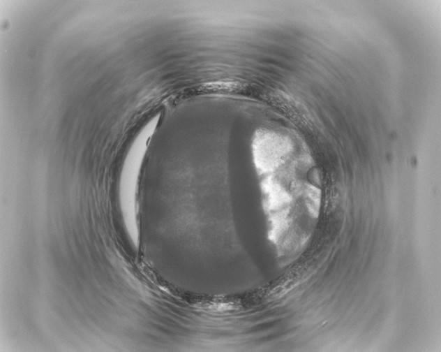 X0000087710647200705251759