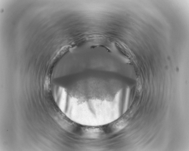 X0000087710669200705251800