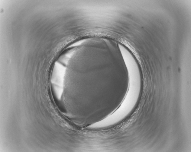 X0000087710673200705251759