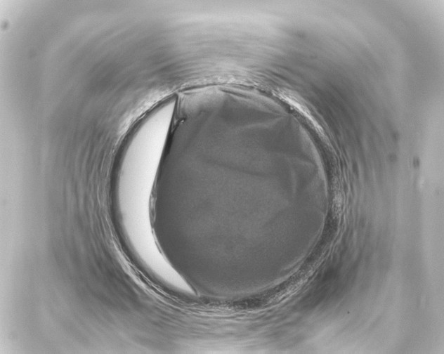 X0000087710677200705251759