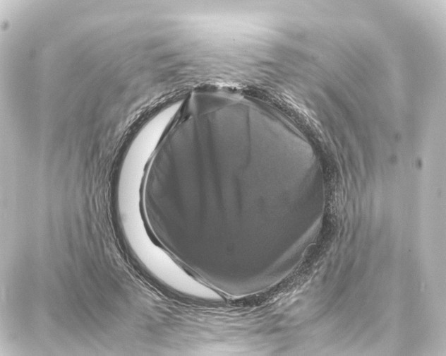 X0000087710689200705251759