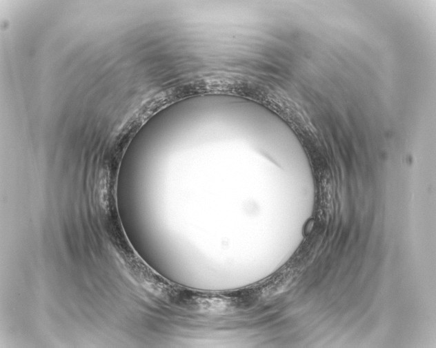 X0000087710698200705251759