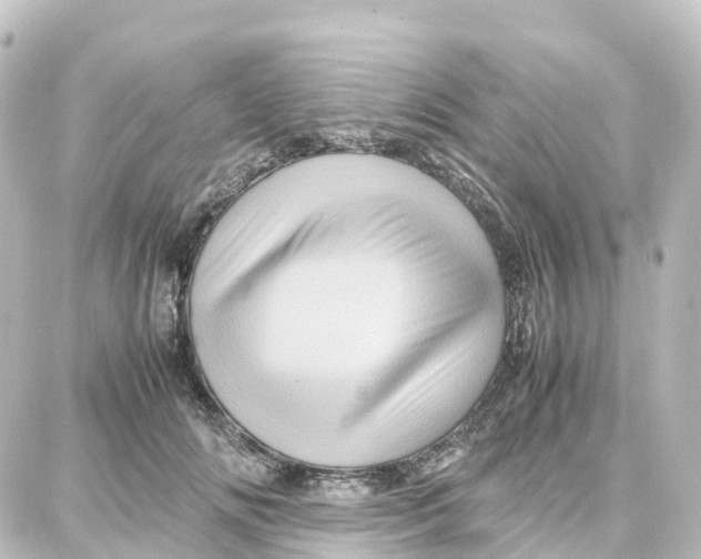 X0000087710702200705251759