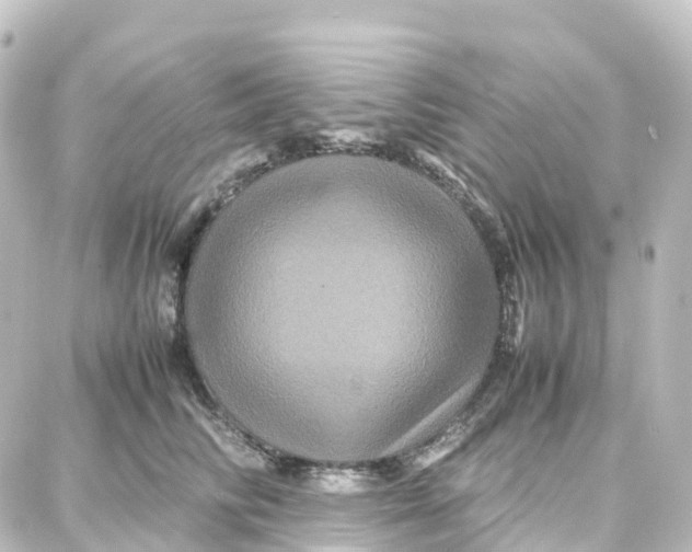 X0000087710710200705251758