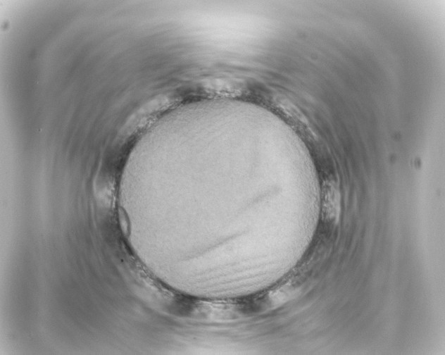 X0000087710713200705251758