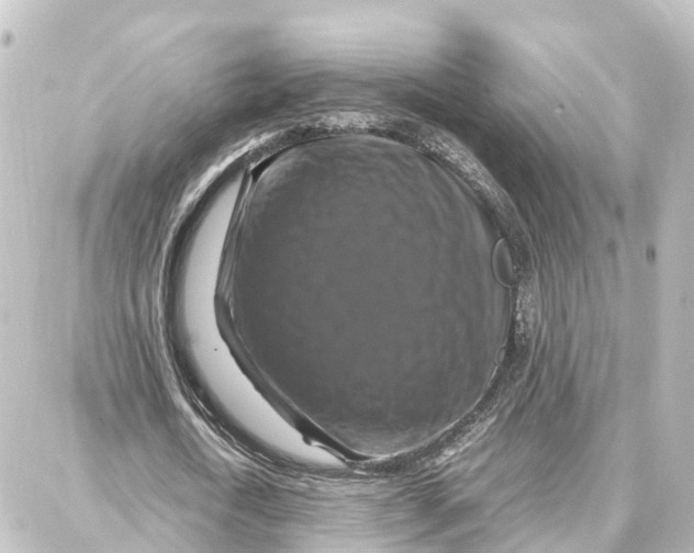 X0000087710722200705251757