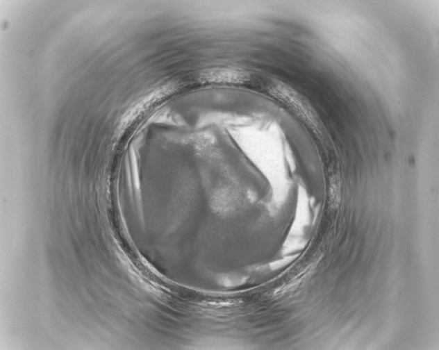 X0000087710725200705251758