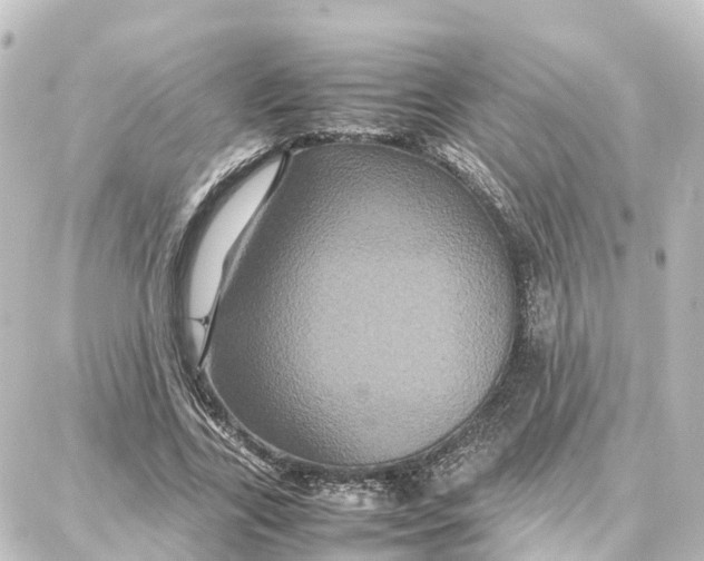 X0000087710731200705251758