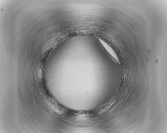 X0000087710746200705251758