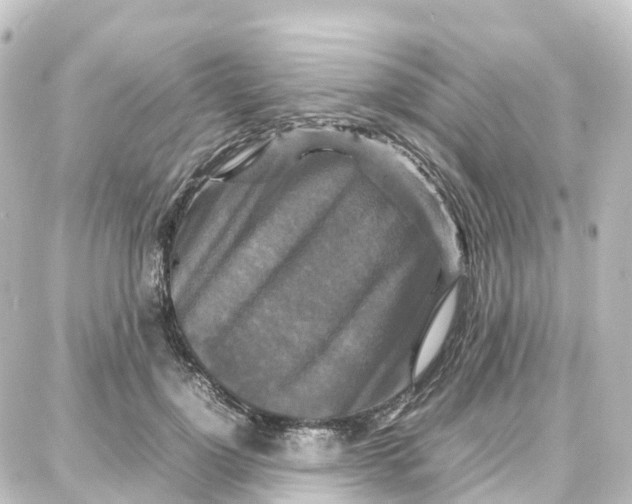 X0000087710748200705251758