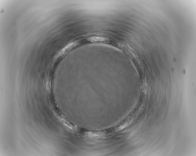 X0000087710763200705251758