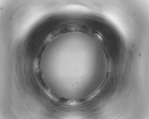 X0000087710764200705251758