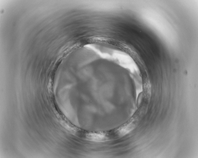 X0000087710765200705251758