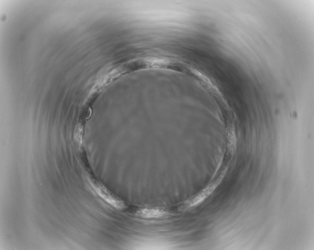 X0000087710766200705251758
