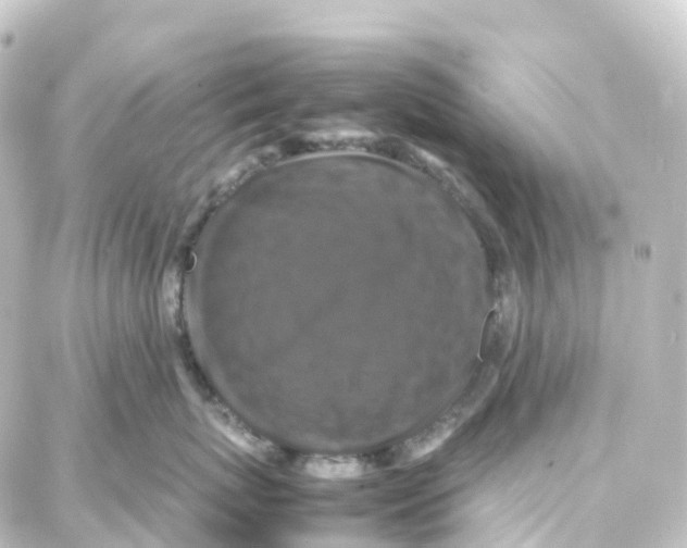 X0000087710767200705251758