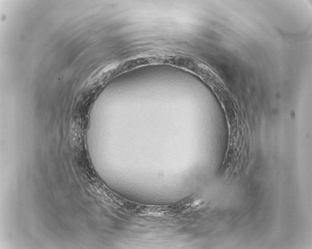 X0000087710773200705251757