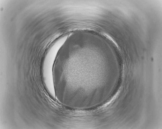X0000087710777200705251757