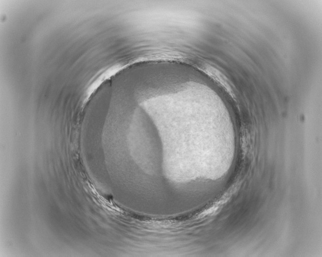 X0000087710781200705251757