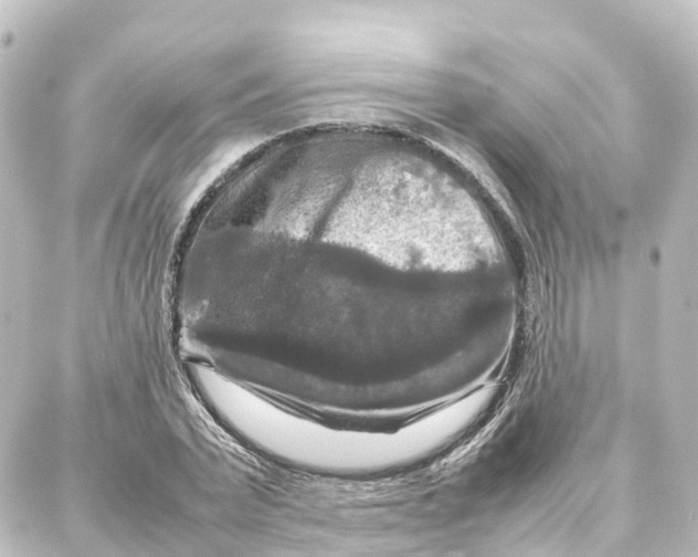 X0000087710783200705251757