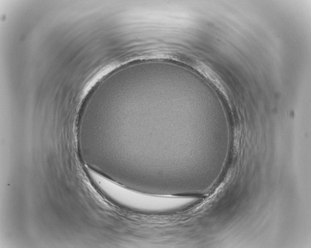 X0000087710789200705251757