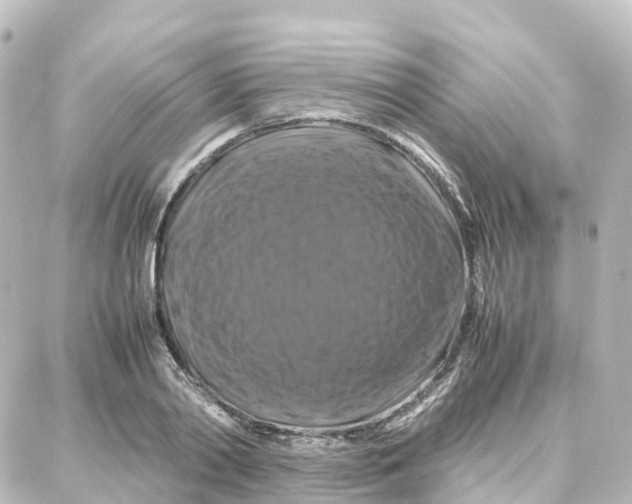 X0000087710790200705251757